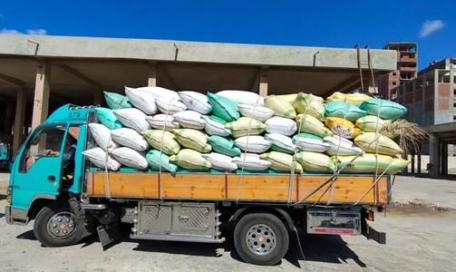 صوامع المنيا تستقبل أكثر من 146 ألف طن من محصول القمح
