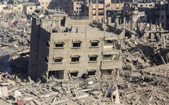   هشام عنانى: الجهود المصرية لها الأثر الأكبر في التفاوض للوصول لهدنة بـ غزة