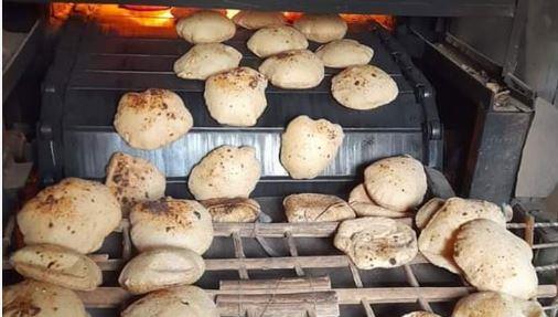حملة تموينية على المخابز البلدية بالإسكندرية 