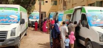 "تضامن أسوان": الكشف على 135 مريضا من الأولى بالرعاية بقرى المحافظة
