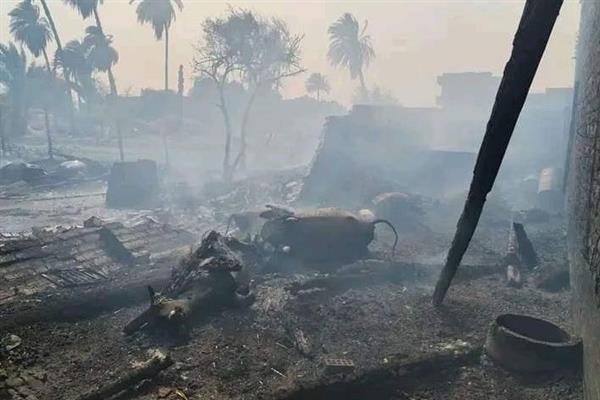 إصابة 10 أشخاص ونفوق 50 رأس ماشية في حريق 4 منازل بسوهاج
