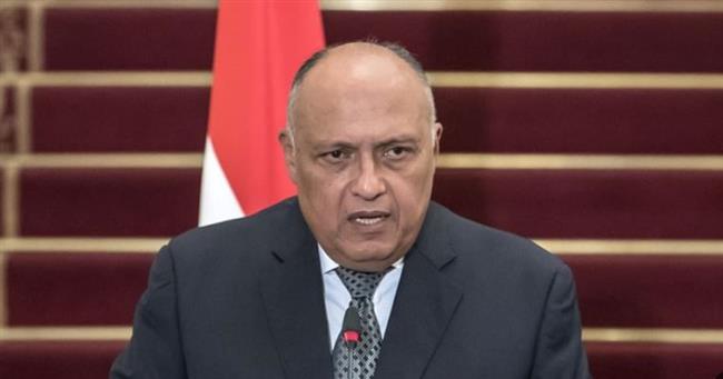 شكري ووزيرة خارجية جنوب إفريقيا يؤكدان الحرص على الارتقاء بمستوى العلاقات الثنائية 