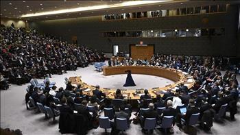   مندوب فلسطين لدى مجلس الأمن: مصممون على استدامة وقف إطلاق النار في غزة