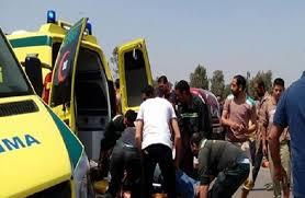 ضبط قائد سيارة اصطدم بشخصين وتوكتوك في البحيرة