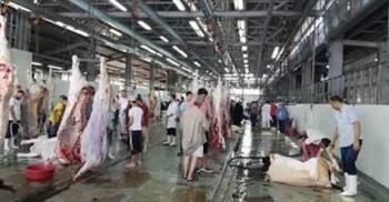 محافظ الجيزة: فتح مجازر المحافظة للمواطنين بالمجان لذبح الأضاحي 