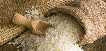   "شعبة الأرز" تؤكد استقرار الأسعار وتوافر المعروض بشكل كبير في الأسواق