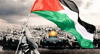   مستشار بالأمم المتحدة: الاحتلال الإسرائيلي ضد الفلسطينيين جريمة وعدوان غير مسبوق
