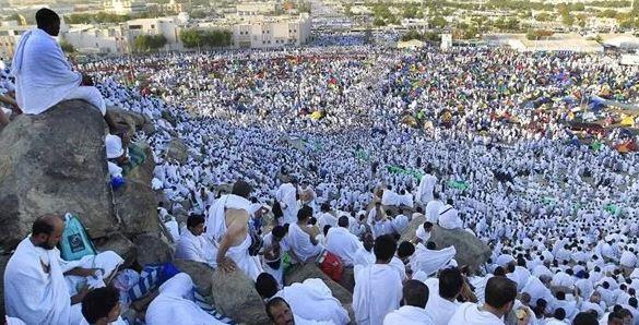 غدا.. "التضامن" تبدأ تصعيد حجاج الجمعيات إلى عرفات