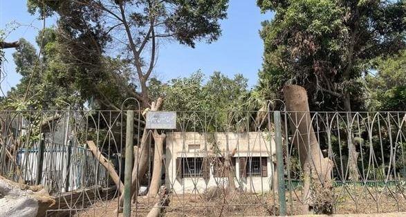 "الزراعة" تنفي قطع الأشجار بحديقة الحيوان