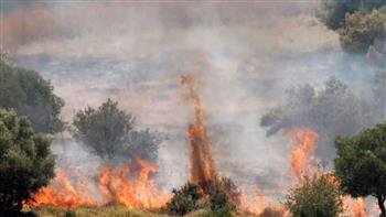   لحرق المزارع اللبنانية.. الاحتلال يكشف سبب استخدام جنوده لـ"المنجنيق"