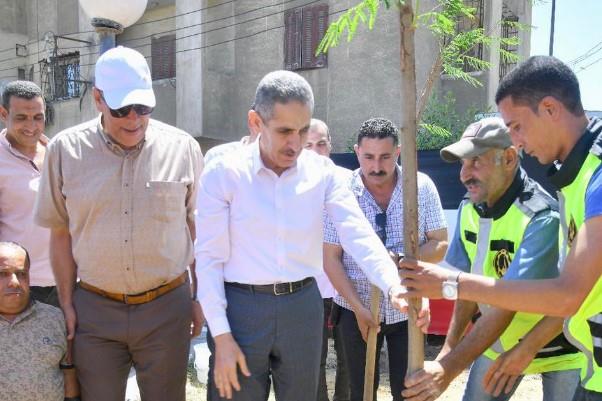 محافظ الغربية: زراعة 388 ألفا و645 شجرة بالمراكز والمدن ضمن مبادرة "100 مليون شجرة"