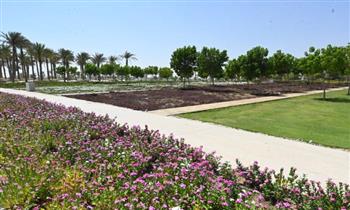   زراعة أكثر من 46 ألف شجرة ونخلة بـ"كابيتال بارك" بالعاصمة الإدارية الجديدة