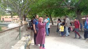 حديقة الحيوان بالإسكندرية تستقبل 14 ألف زائر خلال يومين بعيد الأضحى
