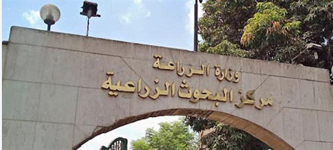 رئيس "البحوث الزراعية" يتفقد برامج التقاوي ومعامل صحة الحيوان تواصل فحص الأغذية