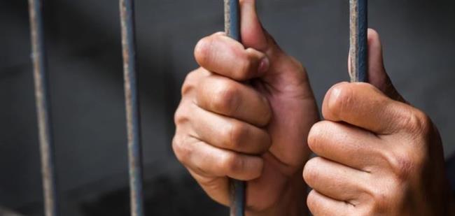 حبس طالب اعتدى على كلب بحجر حتى الموت