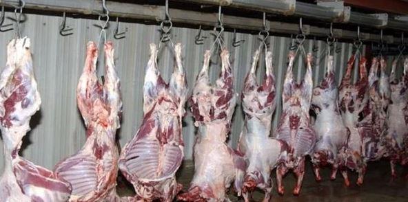 محافظ الجيزة: ذبح 3067 أضحية للمواطنين بالمجازر خلال عيد الأضحى 