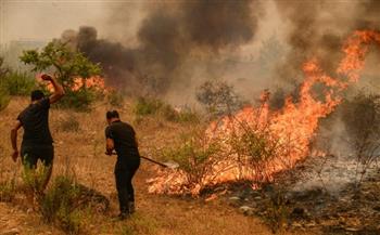   إعلان حالة الطوارئ بولاية "نيو مكسيكو" الأمريكية جراء حرائق الغابات 