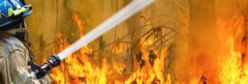   أمريكا: رجال الإطفاء بكاليفورنيا يكافحون حرائق الغابات بمنطقة تمتد بين "سان فرانسيسكو" و"كاليفورنيا"