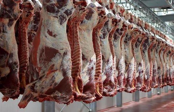 ذبح 1009 رأس أضحية بمجازر القليوبية خلال العيد بالمجان 