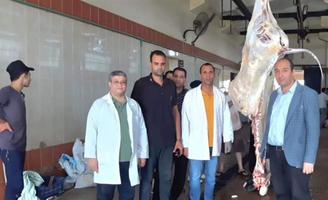 بيطري البحيرة يشرفون علي ذبح 2756 رأس ماشية بالمجازر خلال أسبوع عيد الأضحى