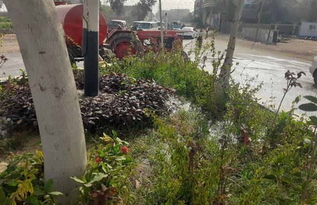 محافظ الغربية يتابع استمرار حملات التشجير والتجميل بمراكز المحافظة