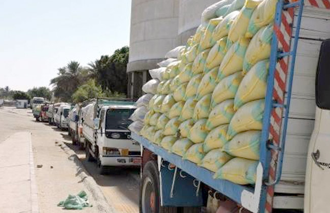 شون وصوامع المنيا تستقبل 411 ألف طن من محصول القمح
