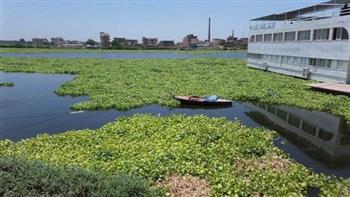   "الري": الدفع بمعدات لإزالة التجمعات المحدودة من النباتات في نهر النيل