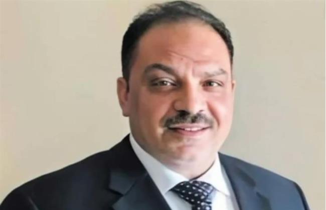 النجار: الشعوب العربية التحمت مع الشعب المصري في 30 يونيو 