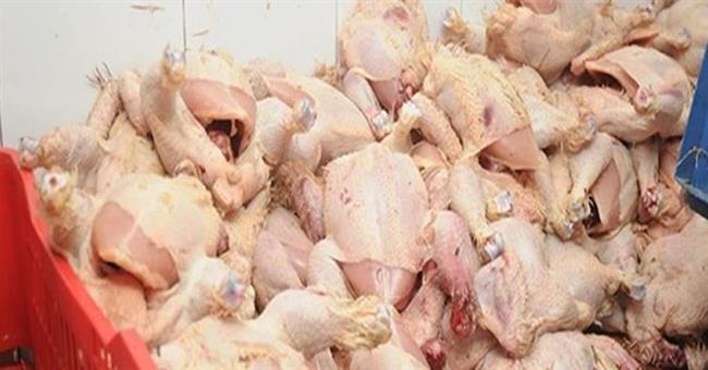 ضبط 3 أطنان لحوم ودواجن فاسدة بالشرقية