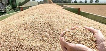   محافظ أسوان: تخطي المستهدف توريده من القمح بنسبة 119.7 %