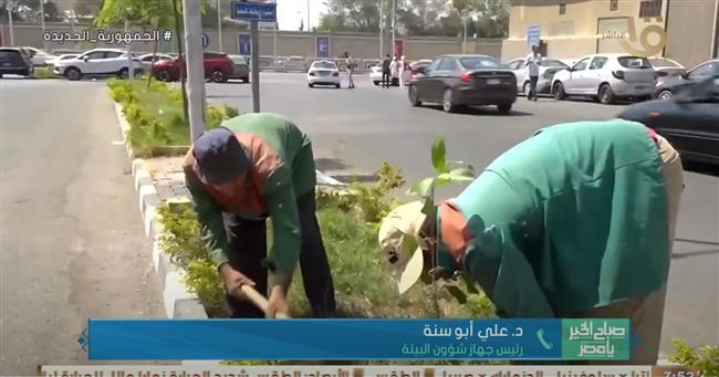 "أبو سنة": الدولة المصرية بكل أجهزتها ضد عملية قطع الأشجار.. فيديو
