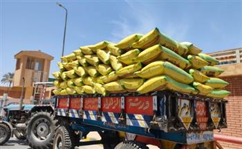   ارتفاع إجمالي حصيلة توريد القمح إلى 174 ألف طن بمحافظة الدقهلية