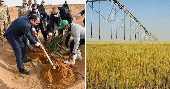 مهندس زراعي بتوشكى: زيارة الرئيس السيسي منحتنا دافع أكبر للنجاح في استصلاح الأراضي