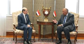   شكري يؤكد تأييد مصر لجهود التوصل لحل سياسي للأزمة اليمنية