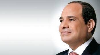 حزب حماة الوطن يهنئ الرئيس السيسي والمصريين بذكرى 30 يونيو