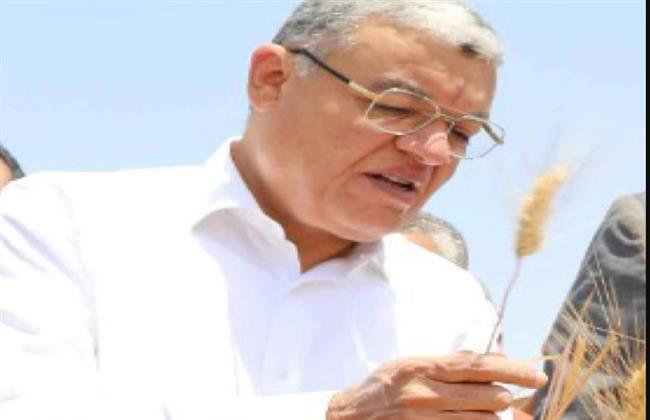 محافظ المنيا : توريد 417 ألف طن قمح