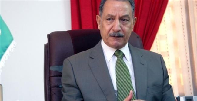 دبلوماسي سابق: اهتمام كبير من الدولة المصرية بالمصريين في الخارج بعد ثورة 30 يونيو