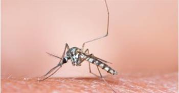 وزير الصحة الإيفواري : حريصون على تعزيز ترسانة المكافحة ضد الملاريا