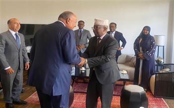   وزير الخارجية ونظيره الصومالي يبحثان سبل تعزيز العلاقات بين البلدين
