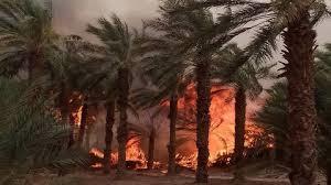 حريق هائل يخلف خسائر كبيرة بمؤسسة «اتصالات الجزائر» جنوب شرق البلاد