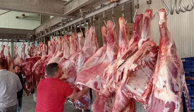 بـ 185 جنيها.. ضخ لحوم بجودة عالية للمجمعات الاستهلاكية بأسعار مخفضة