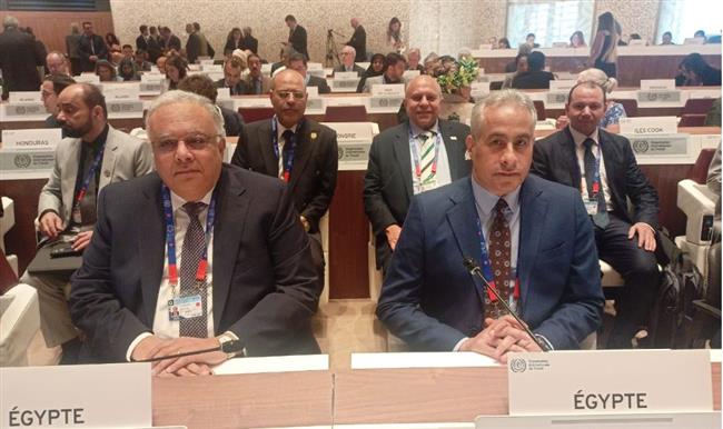 شحاتة يلقى كلمة مصر غدا فى مؤتمر العمل الدولي بجنيف