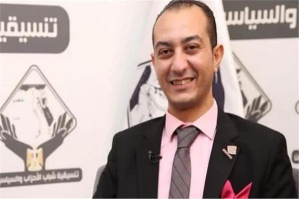حسن شاهين: فكرنا في كيفية التخلص من الإخوان بطريقة سلمية