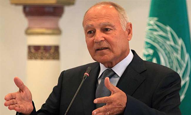 أحمد أبو الغيط: ما حدث في 25 يناير كان "فورة" بالمجتمع