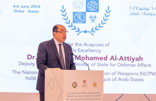 حسام زكي: لا مخرج من الوضع الإقليمي المتوتر إلا من خلال تفعيل الآليات المتفق عليها
