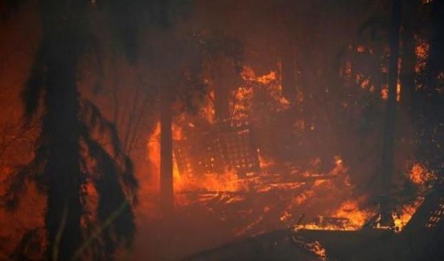 حزب الله يرد على جيش الاحتلال بإشعال النيران في شمال إسرائيل 