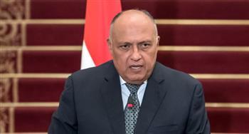 وزير الخارجية ونظيره القبرصي يعقدان مباحثات ثنائية بالقاهرة