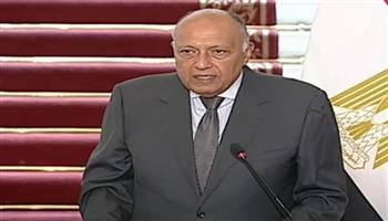 شكري: العمل مستمر بين مصر وقبرص لتعزيز العلاقات في جميع المجالات