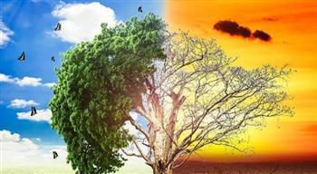 مصر تحتل المركز الثاني على مستوى الشرق الأوسط بمؤشر تغير المناخ 2024