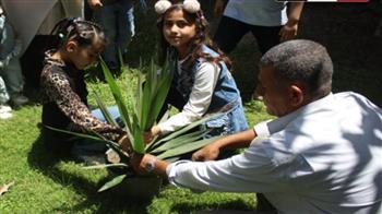 مبادرة ازرع شجرة .. دار الكتب تحتفل بـ اليوم العالمي للبيئة